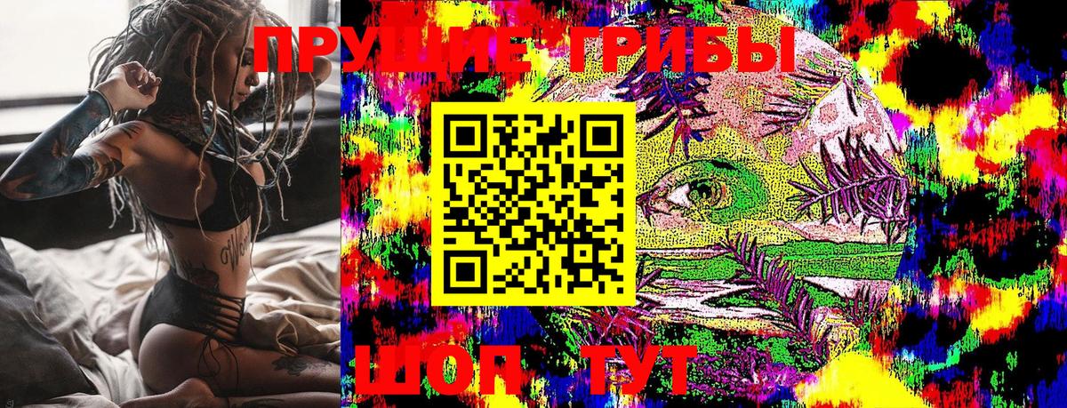 Азов  Галлюциногенные грибы Psilocybine cubensis  Вход с VPN 
