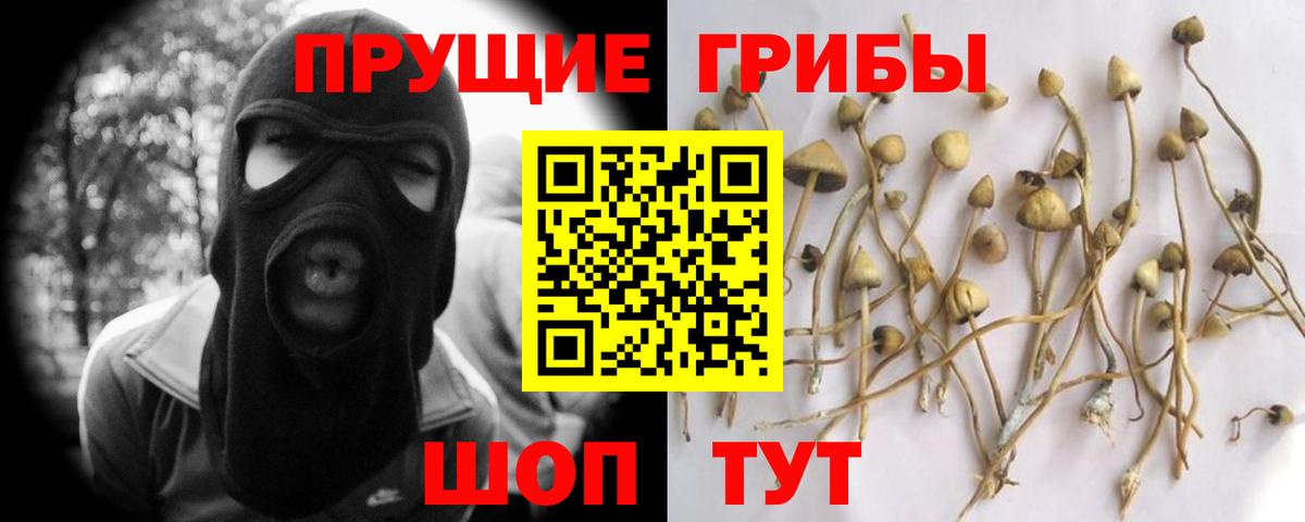 Псилоцибиновые грибы Psilocybine cubensis Азов